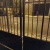 dia 11 de Dezembro de 2025 1.15
